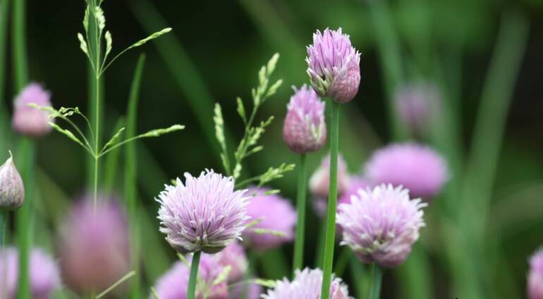 10 Misverstanden over HSP