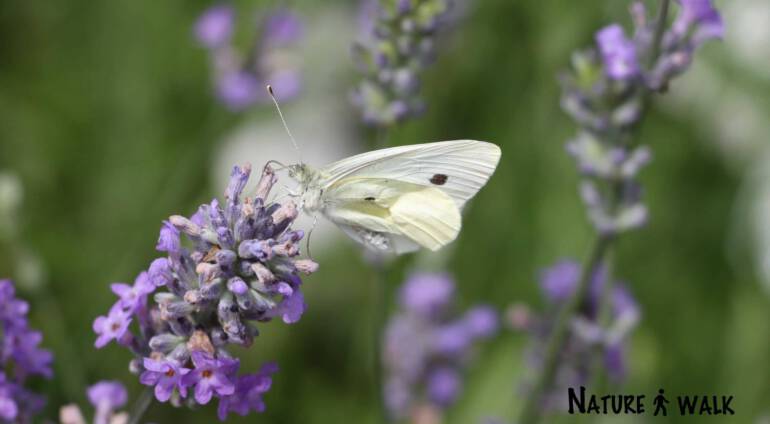 Spontaniteit – 10 tools waardoor je het meer gaat ervaren