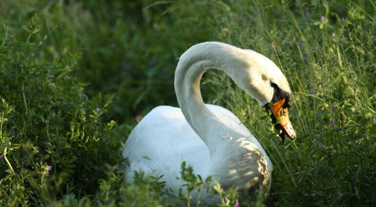 Hoogsensitief en Zelfbeeld