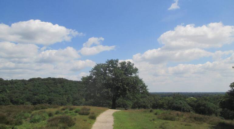 Persoonlijke groei – onzinnige psychologie